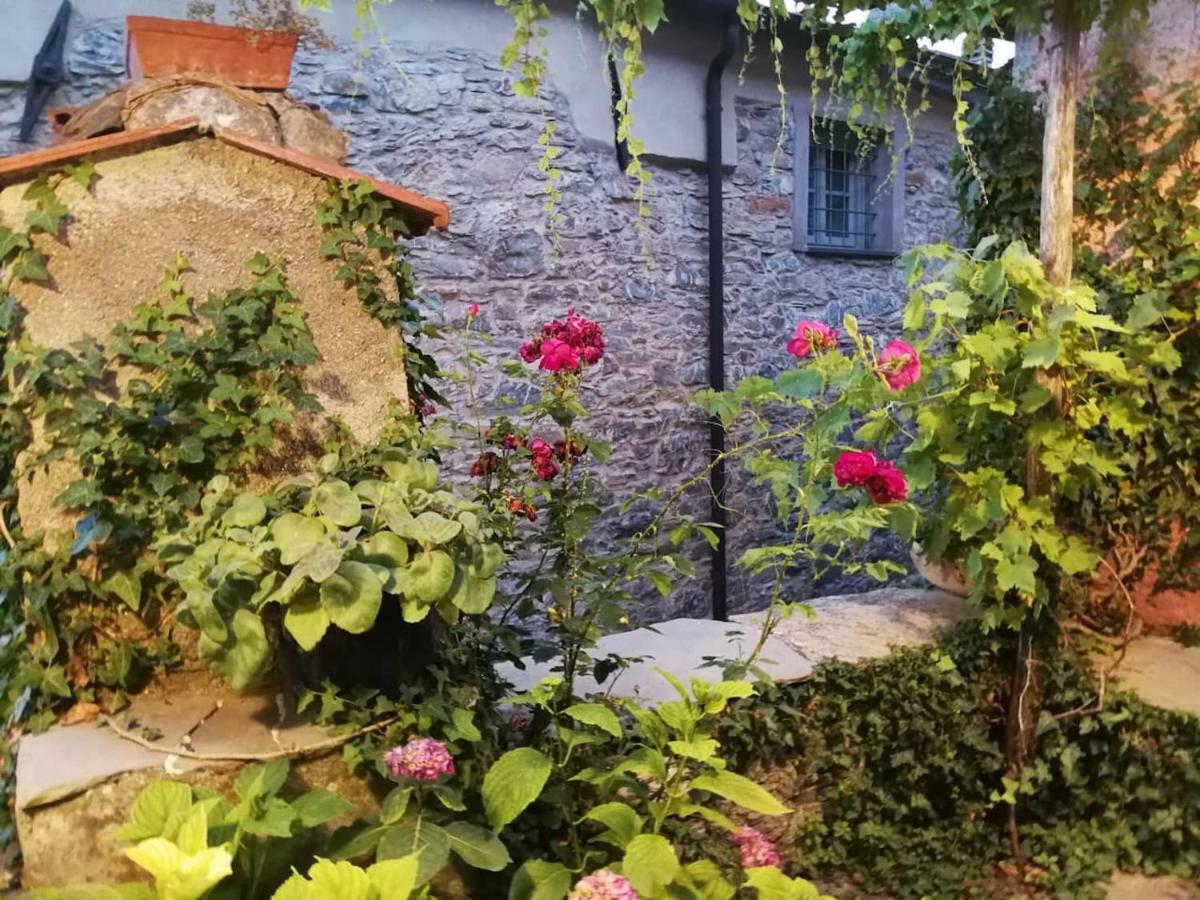 Casale Maria Mafalda Pieve di Teco 外观 照片