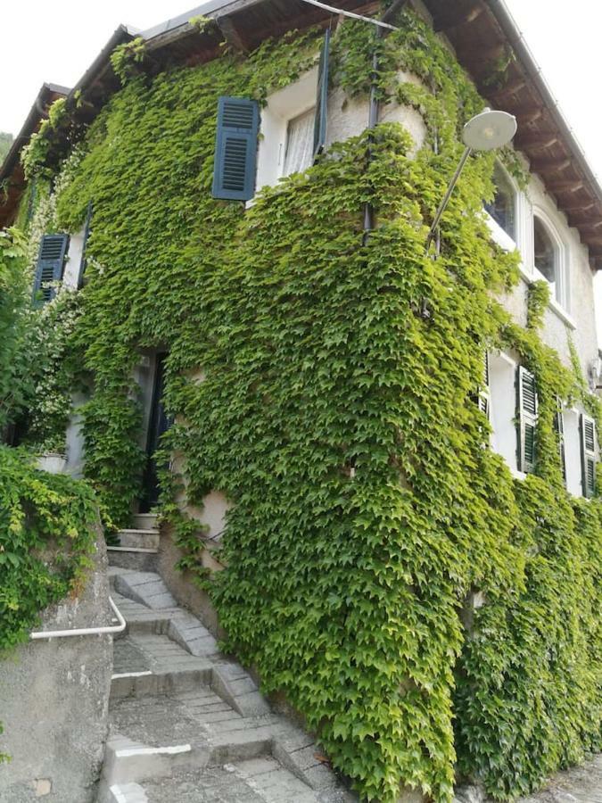 Casale Maria Mafalda Pieve di Teco 外观 照片